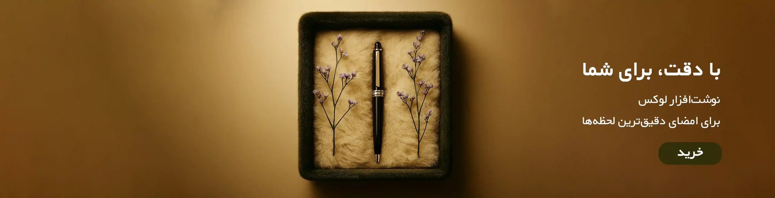 Copilot_20250919_203249 copy